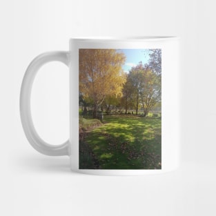 Golden Birch - Magpie Springs - Adelaide Hills - Fleurieu Peninsula - Australia Mug